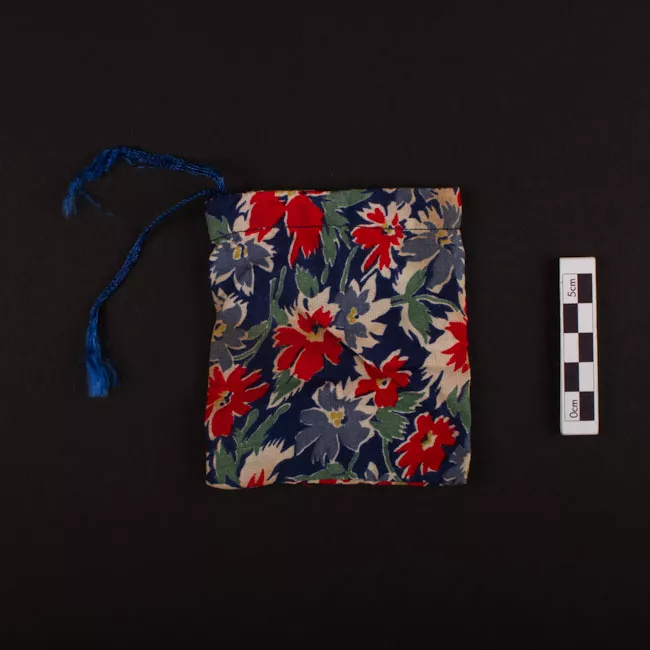 Bolsa (contenedor)