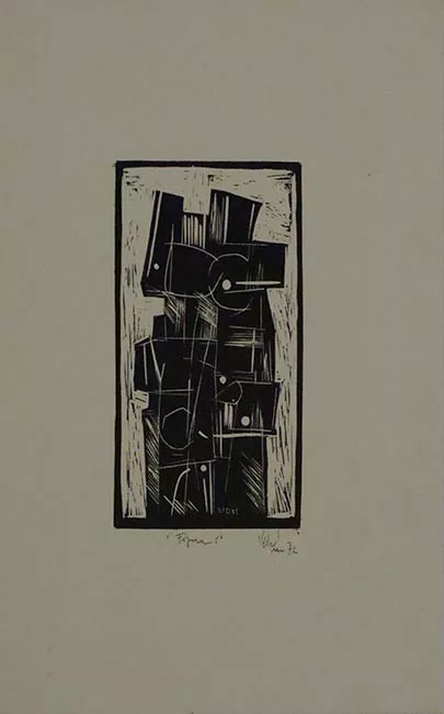 Figura I