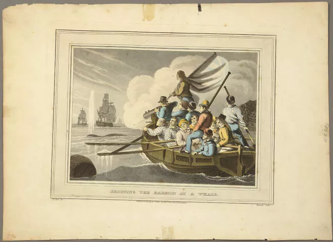 Shooting the harpoon at a whale