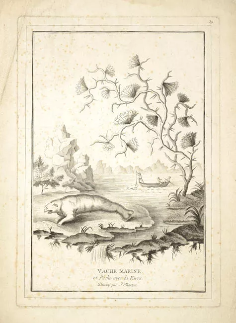 Vache Marine et Pêche avec la Varre