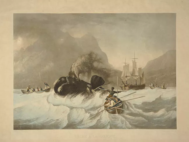 Pêche de la baleine
