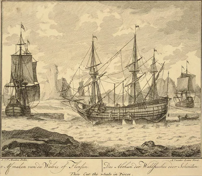 't Af maken van de Walvis of Flensen.