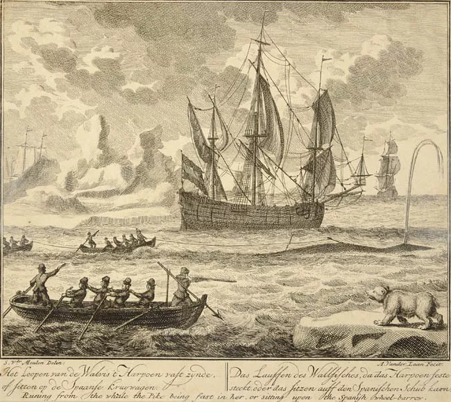 Het loopen van de Walvis't Harpoen vast zynde, of fitten op de Spaanse kruywagen.