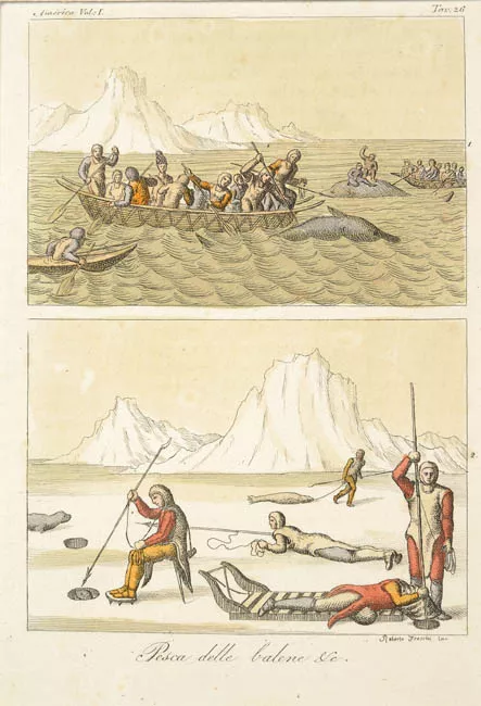 Pesca delle balene