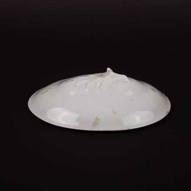 Tapa (cubierta)