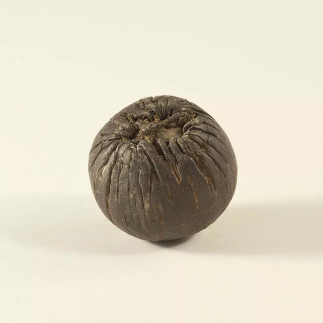 Pali