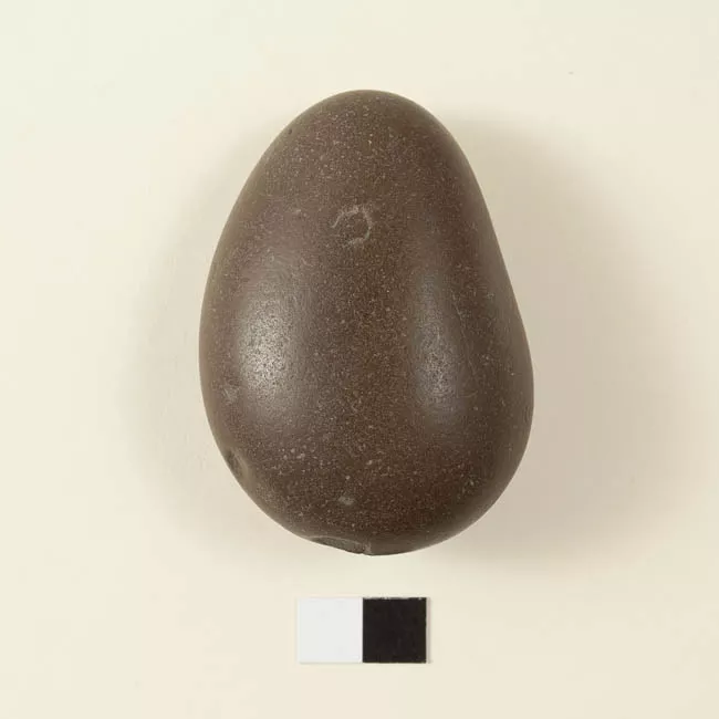 Rodado (lítica)