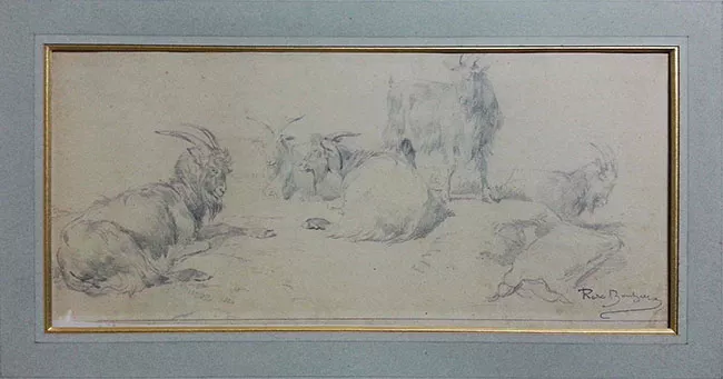 Cabras