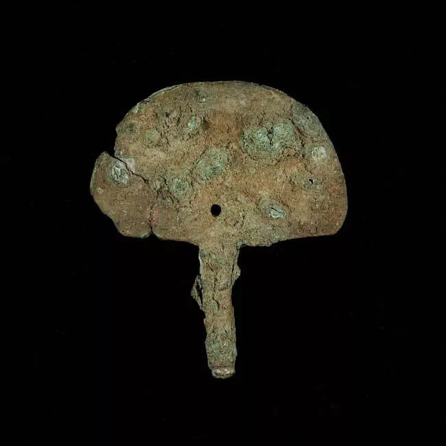 Tupu