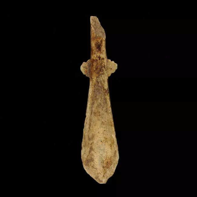 Espátula
