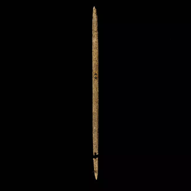 Aguja (arqueológico y etnográfico)