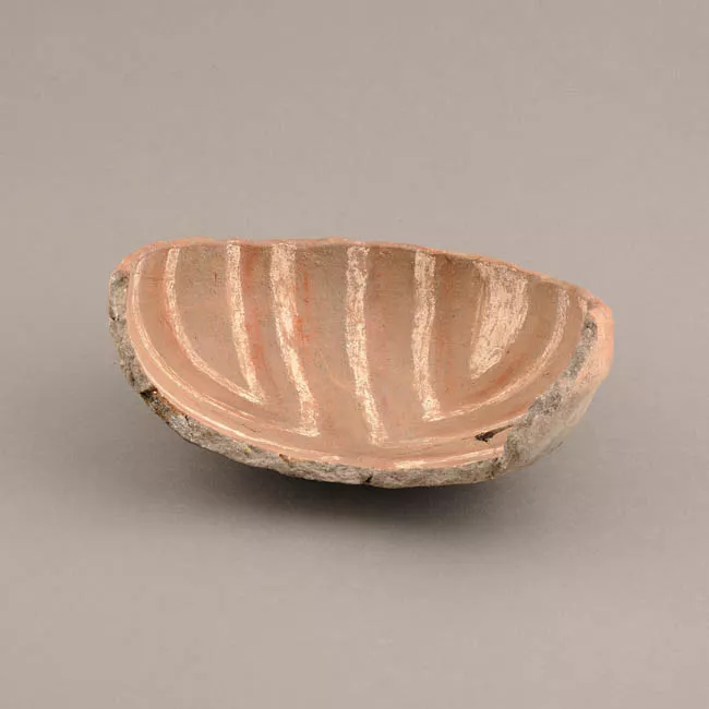 Escudilla