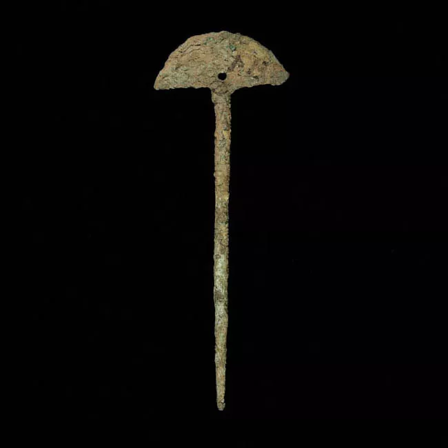 Tupu