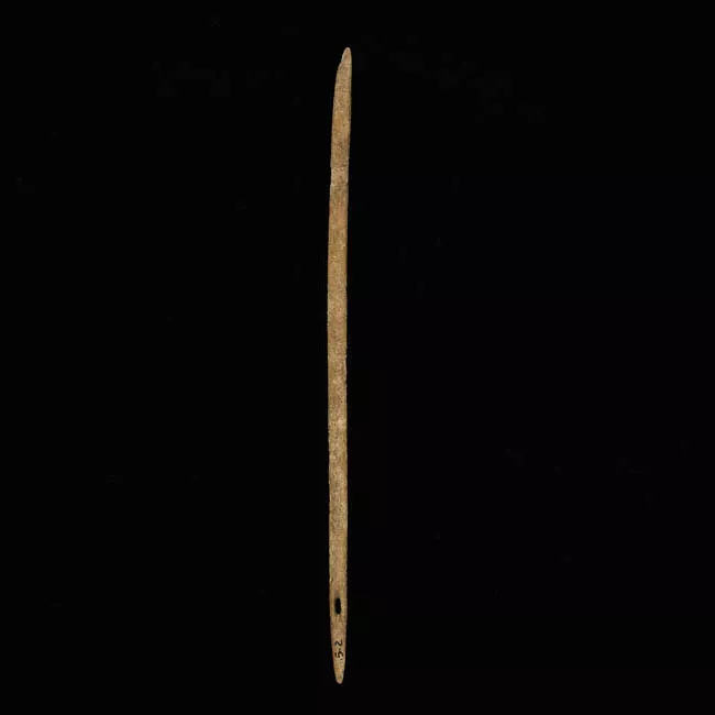 Aguja (arqueológico y etnográfico)