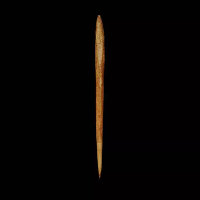 Instrumento