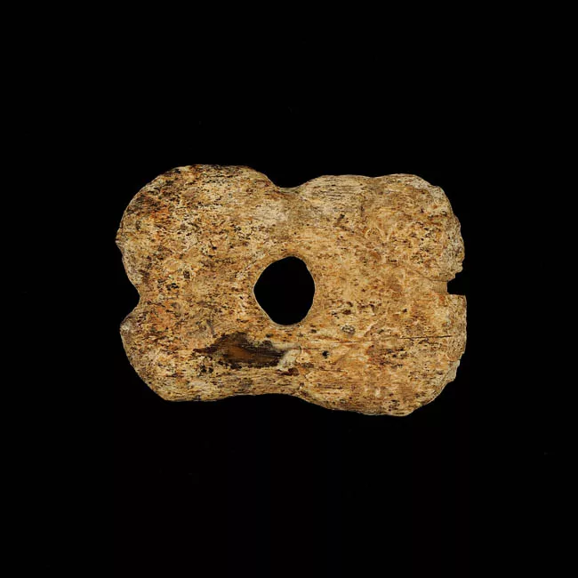 Tortera