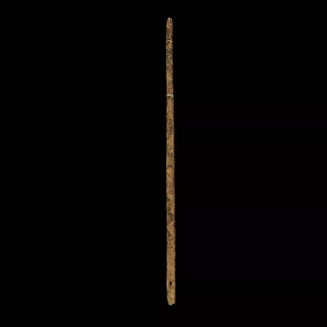 Aguja (arqueológico y etnográfico)