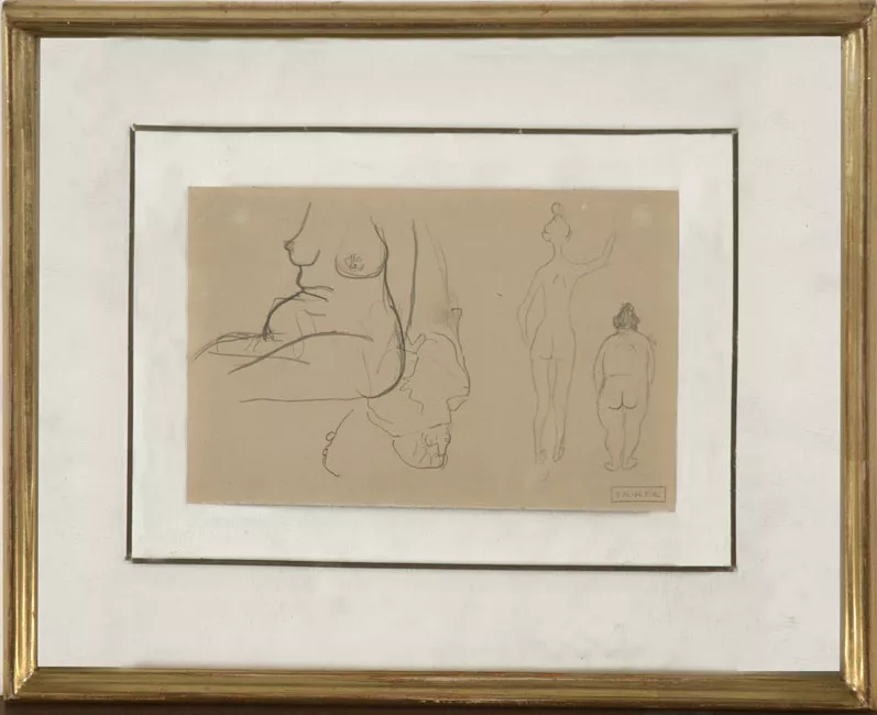 Estudio de cuerpo de mujer