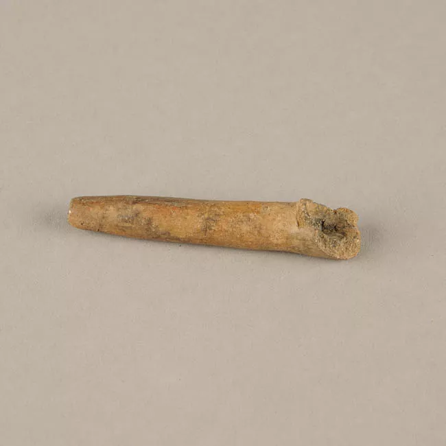 Kitra (mapuche)