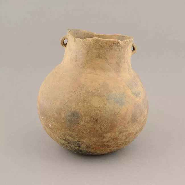 Olla