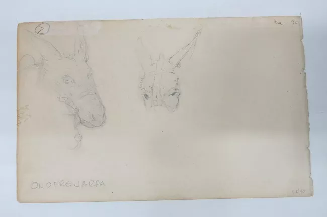 Cabezas de Burro