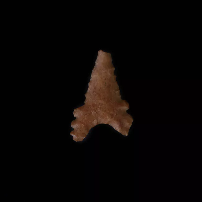 Punta de proyectil