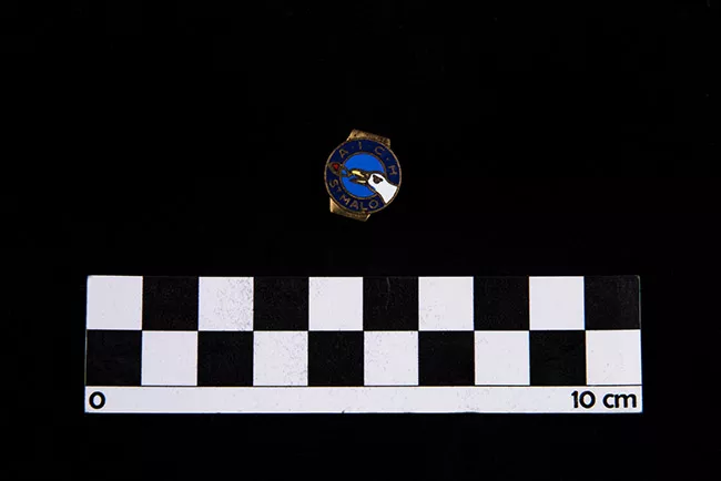 Pin