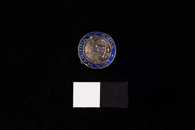 Pin