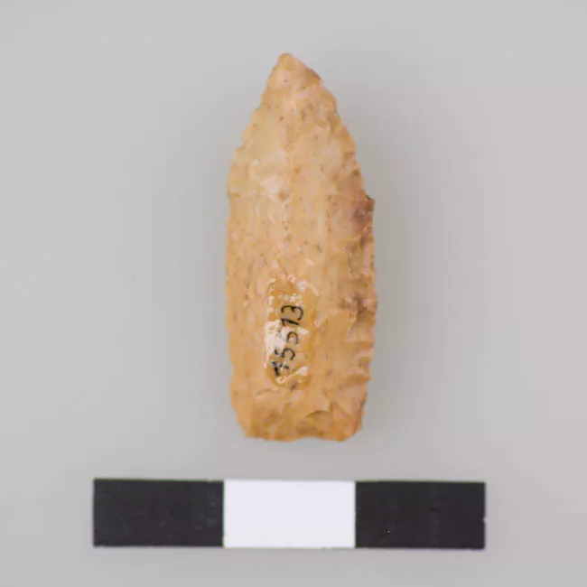 Punta de proyectil