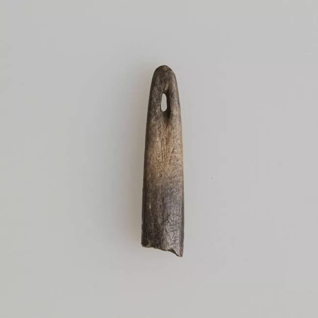 Aguja (arqueológico y etnográfico)