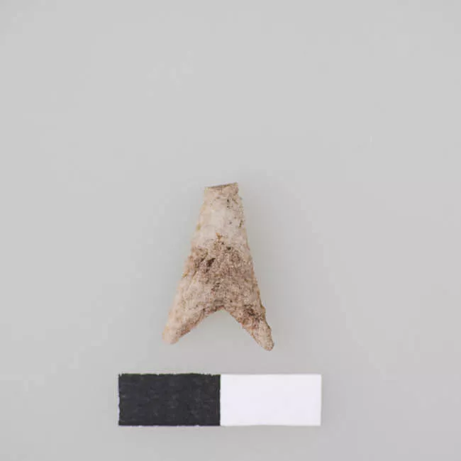 Punta de proyectil