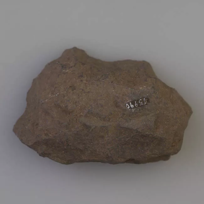 Cepillo (arqueológico)