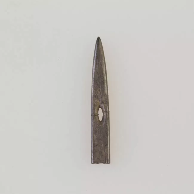 Aguja (arqueológico y etnográfico)