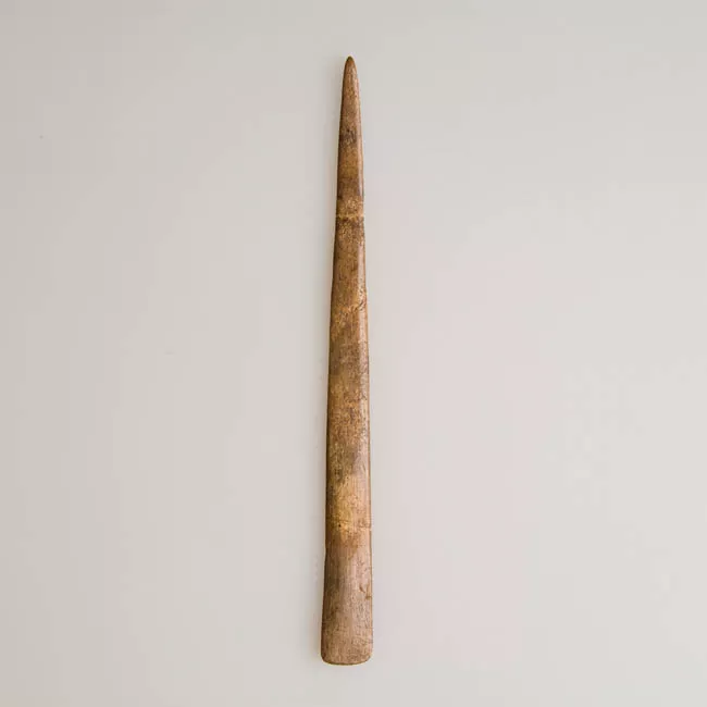 Espátula