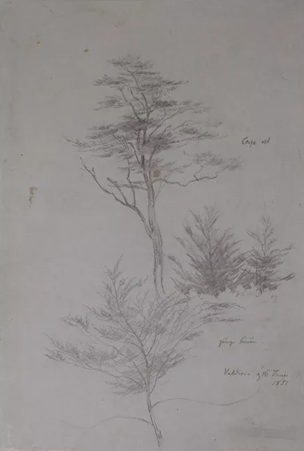 Valdivia, 1851