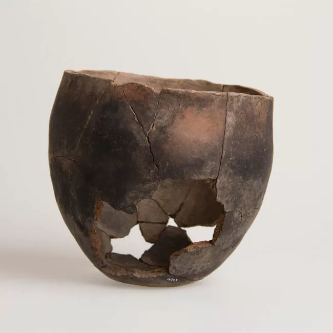Olla