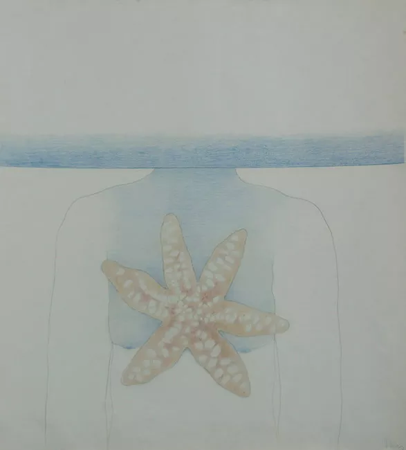 La Estrella Del Mar