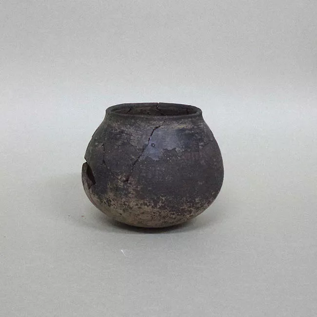 Olla (arqueológica y etnográfica)