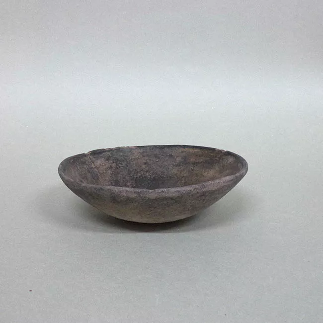 Plato (arqueológico y etnográfico)