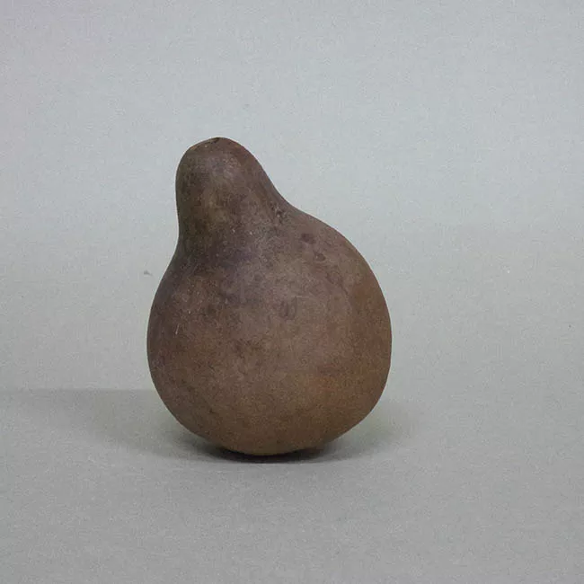 Botella (arqueológica y etnográfica)