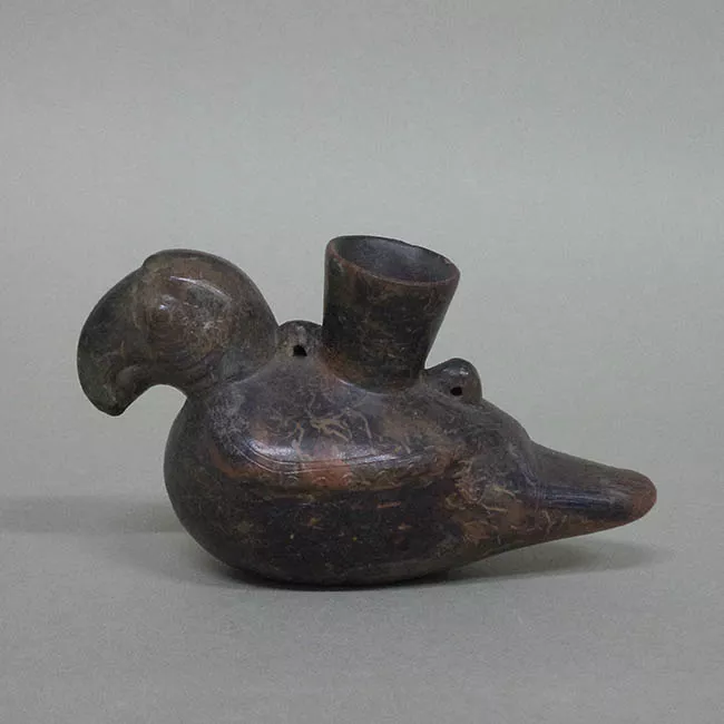 Botella (arqueológica y etnográfica)
