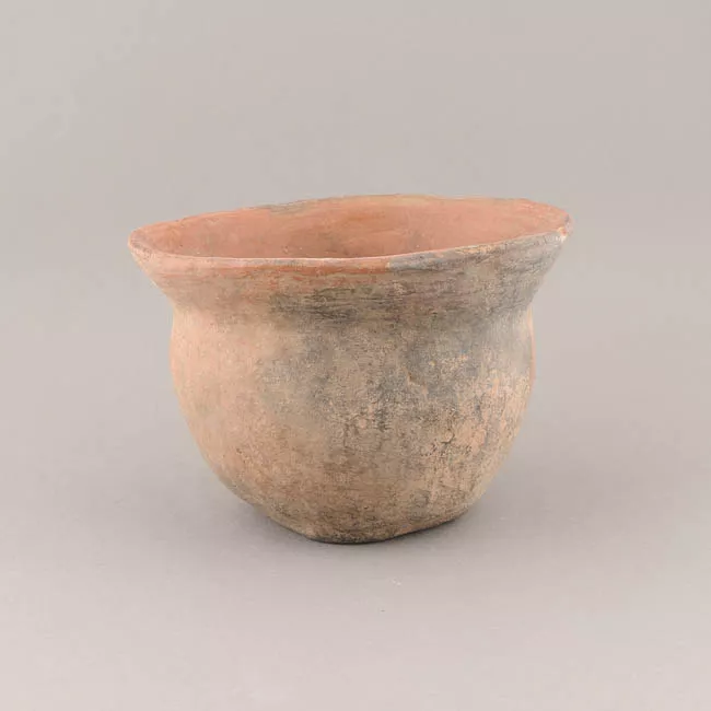 Vaso