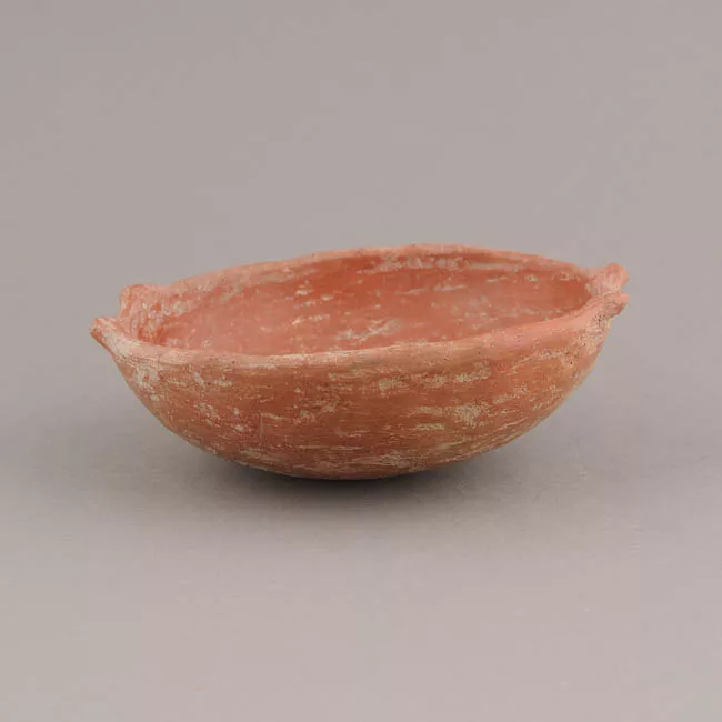 Escudilla