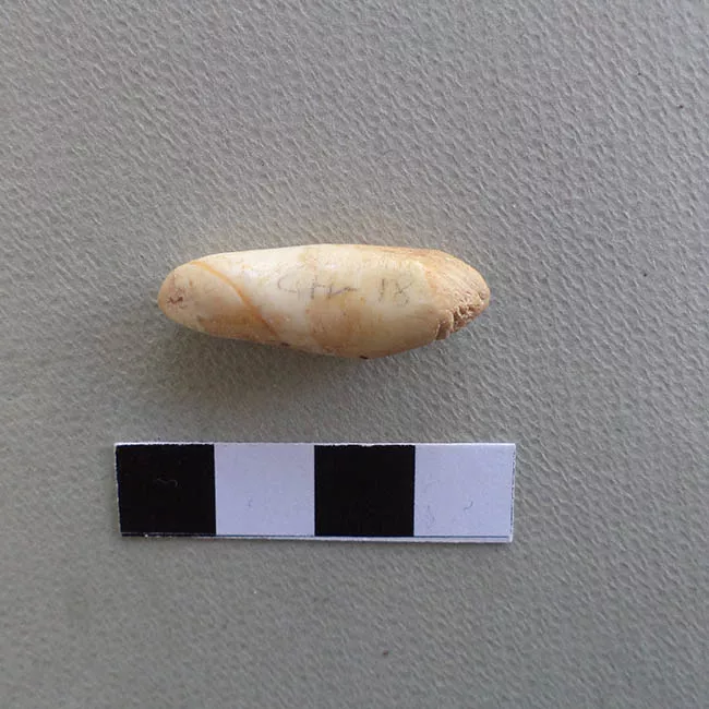 Pulidor (arqueológico)