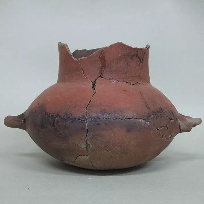 Olla (arqueológica y etnográfica)