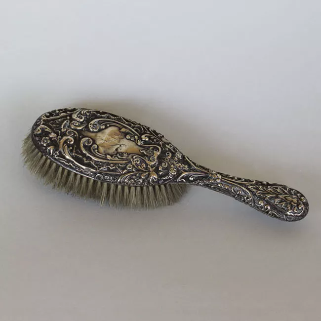 Cepillo para el pelo