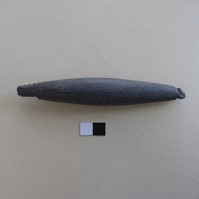 Pesa de pesca
