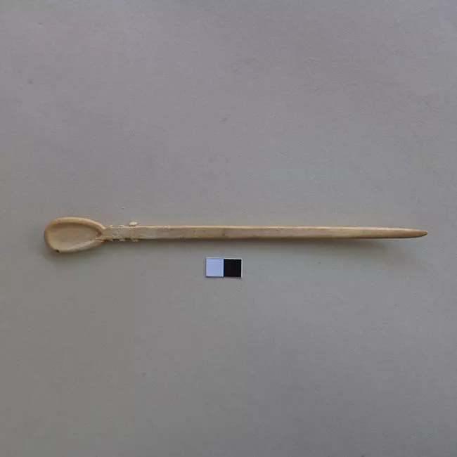 Cucharilla
