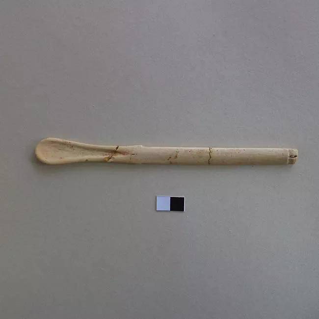 Cucharilla