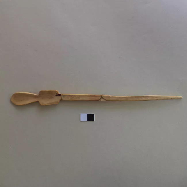 Cucharilla